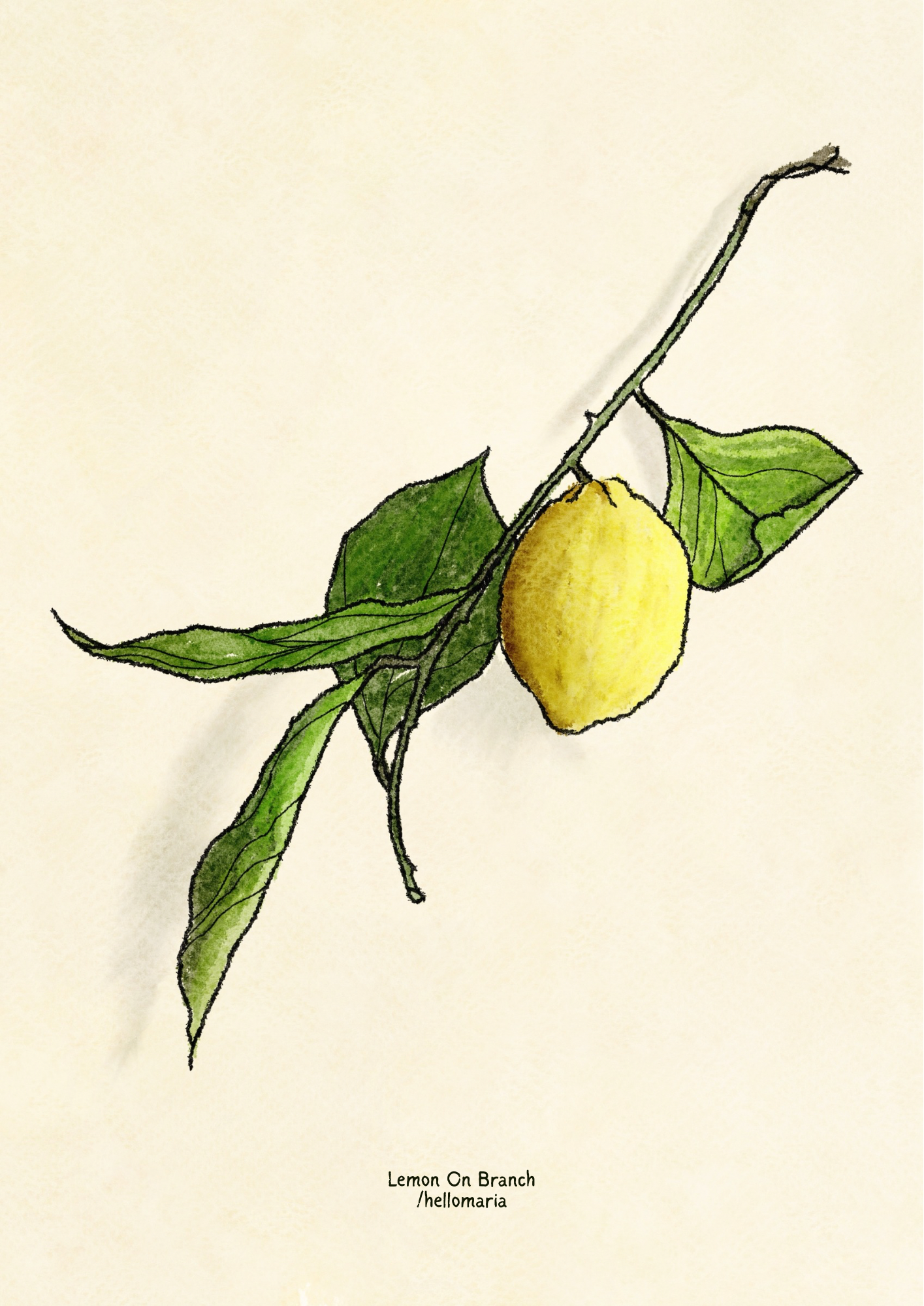 Postcard - Lemon On Branch